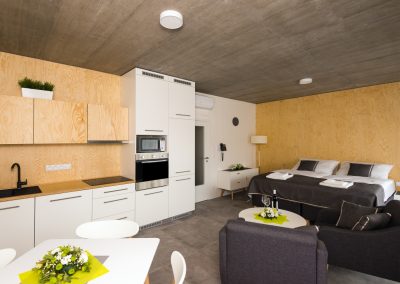 Accommodation - Luxury apartments Residence trafick, Prague - Bohdalec